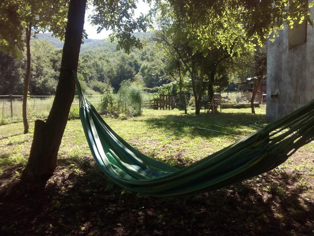 Ferienwohnung Ca La Iaia Veva Sant Joan les Fonts Exterior foto